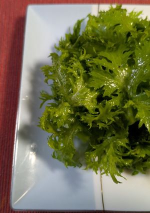 わさび菜とレモン果汁とオリーブ油のサラダ-レシピのメイン写真