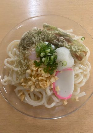 とろ玉おろし磯辺揚げうどん-レシピのメイン写真