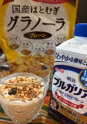 無糖国産はと麦グラノーラ✖️ブルガリアヨーグルト-レシピのメイン写真
