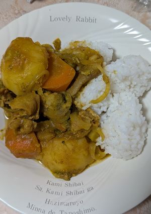 簡単★野菜果実ジュースで「カレーライス」-レシピのメイン写真