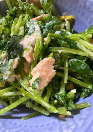 塩分0.4:豆苗と鮭クリームチーズサラダ-レシピのメイン写真