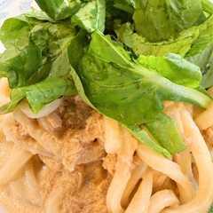 รูปของ サラダうどん