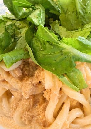 サラダうどん-レシピのメイン写真