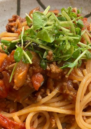 ひき肉と茄子のトマトスパゲティ-レシピのメイン写真