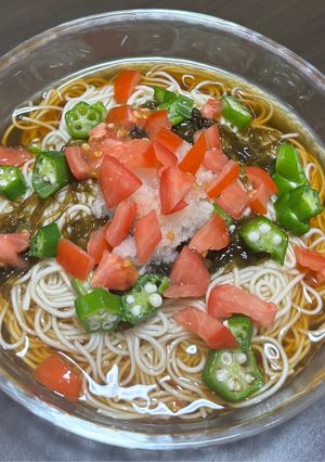 もずくと大根おろしの夏野菜そうめん-レシピのメイン写真