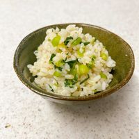 基本からアレンジまで！思わずつくりたくなる「高菜漬 混ぜご飯」の