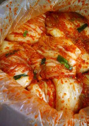 ☯韓国人直伝☯自家製白菜キムチ-レシピのメイン写真