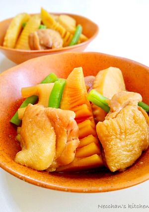 *鶏肉とたけのこの煮物*-レシピのメイン写真