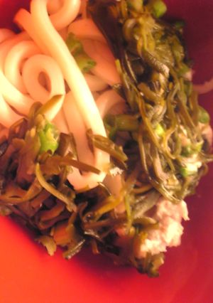 めかぶと山芋の冷やしうどん-レシピのメイン写真