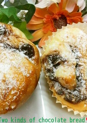 手土産に!チョコレートパン(２種類)-レシピのメイン写真