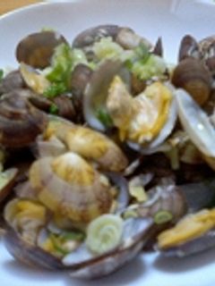 あさりの酒蒸し-レシピのメイン写真