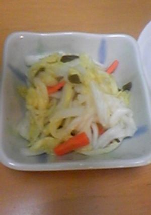 家庭菜園(白菜)の浅漬け-レシピのメイン写真