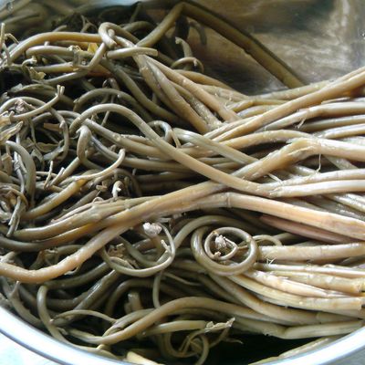 乾燥ぜんまい　③ 乾燥ぜんまい ③ 楽天市場】乾燥 ぜんまいの通販