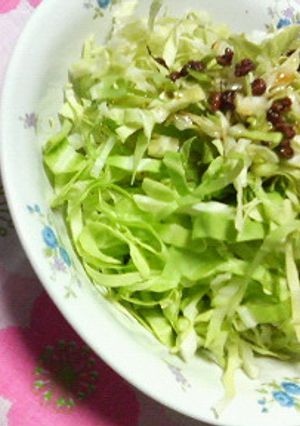 シンプルで美味しい✿キャベツの❀サラダ✿-レシピのメイン写真