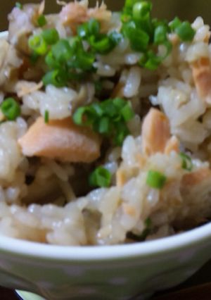 そば屋のそばつゆで鮭ごはん-レシピのメイン写真