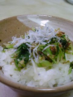 水菜の漬物-レシピのメイン写真