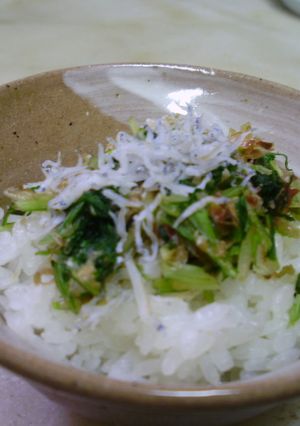 水菜の漬物-レシピのメイン写真