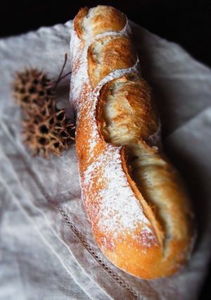 自家製酵母のフランスパン（中種）-レシピのメイン写真