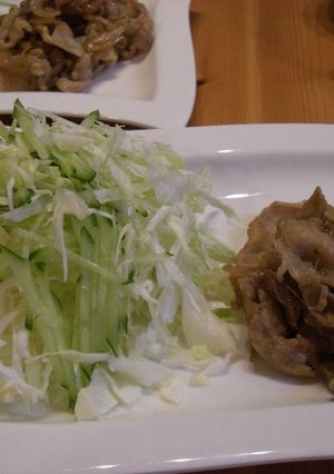 豚ロース★玉ねぎの熱アツしょうが焼き-レシピのメイン写真