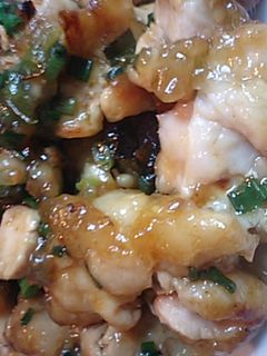 蒸し鶏焼きネギたれ風味-レシピのメイン写真