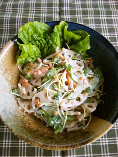 リメイク料理 きんぴらサラダ-レシピのメイン写真