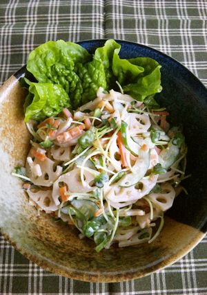 リメイク料理　きんぴらサラダ-レシピのメイン写真
