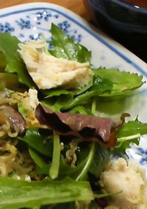 10分で出来る簡単蒸し鶏サラダ-レシピのメイン写真