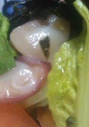 超簡単!!和えるだけの和風たこわさサラダ-レシピのメイン写真