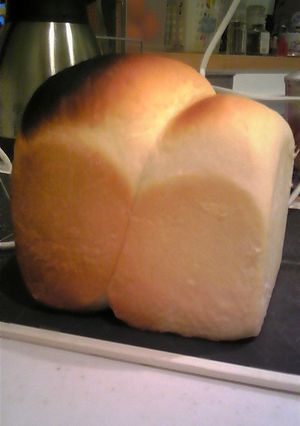 カルピスパン-レシピのメイン写真