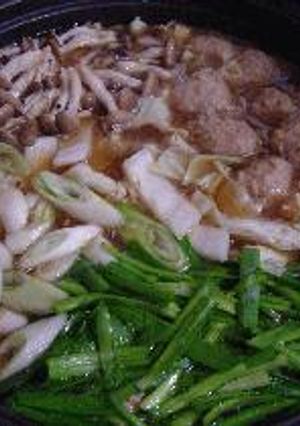 ★鶏団子鍋★-レシピのメイン写真