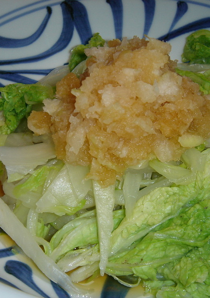 白菜大根おろし和え-レシピのメイン写真