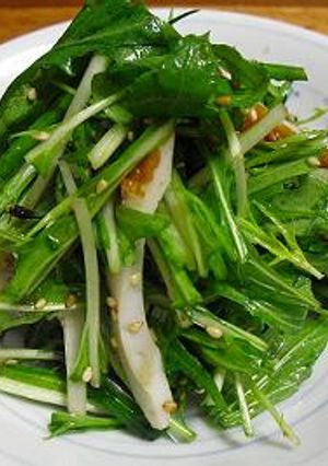 水菜のサラダ-レシピのメイン写真