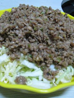 ひき肉と長葱味噌炒め-レシピのメイン写真