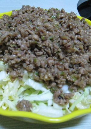 ひき肉と長葱味噌炒め-レシピのメイン写真