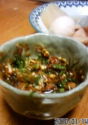 お味噌にあきたら!おでんに薬味を-レシピのメイン写真