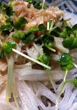 ホタテの大根サラダ-レシピのメイン写真