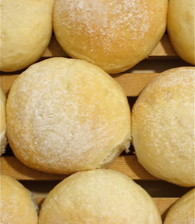 ハンバーガー用バンズ(セミソフト)-レシピのメイン写真