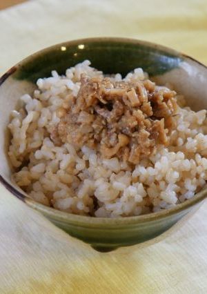 残ったひき肉でご飯のお供-レシピのメイン写真