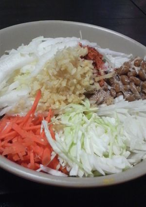 ダイエット✿食べたい♡痩せたい！野菜丼✿-レシピのメイン写真