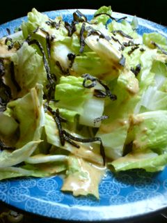 白菜の塩昆布サラダ-レシピのメイン写真