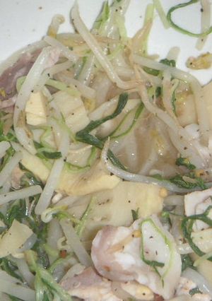 水菜ともやしのスパイシーソルト炒め-レシピのメイン写真