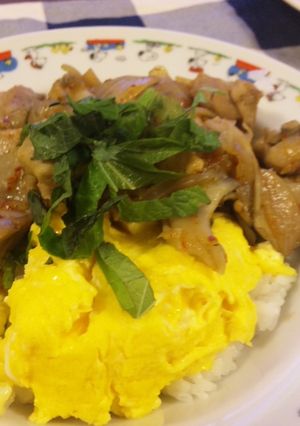失敗なし！がっつり○○キムチ丼♪-レシピのメイン写真