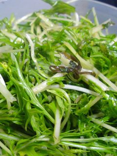 シャキシャキ水菜の漬け物-レシピのメイン写真