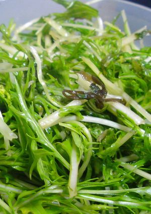 シャキシャキ水菜の漬け物-レシピのメイン写真