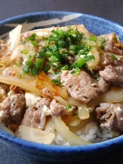 豚のあり合わせ生姜焼き丼-レシピのメイン写真