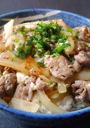豚のあり合わせ生姜焼き丼-レシピのメイン写真