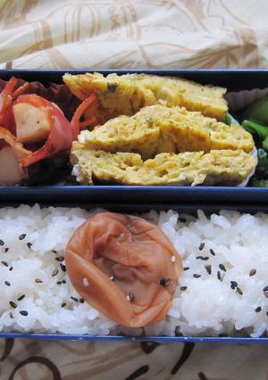 毎日のお弁当 2010/1/20-レシピのメイン写真