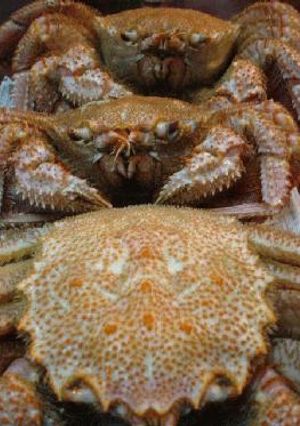 毛がにのおいしい食べ方(捌き方詳細説明付き)-レシピのメイン写真