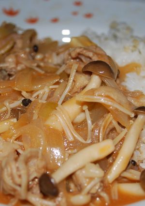 豚肉でヘルシー☆ポークストロガノフ-レシピのメイン写真
