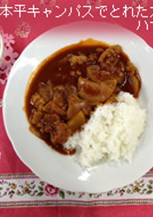 大根入りさっぱりハヤシライス-レシピのメイン写真